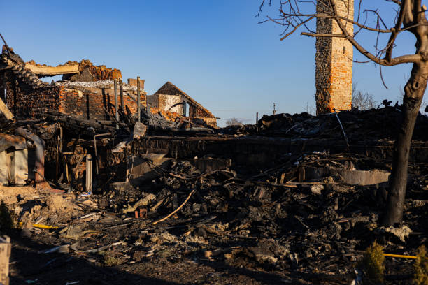Reliable Content Restoration contractor in Apollo Beach, FL by Fire Damage Flint